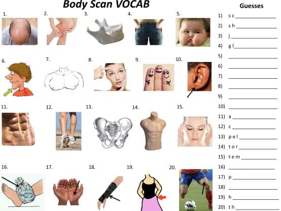 Body Scan Vocab Image