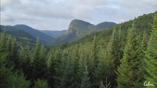 Calm 3-minute Body Scan.jpg